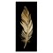 Stupell Industries Glam Lined Feather Canvas, design by Kim Allen